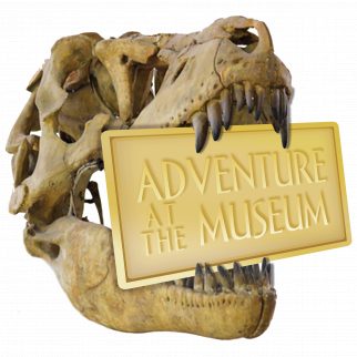 Integrated Ancient Civilizations Theme Lessons