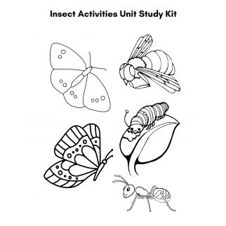 Insect Activity Unit Study Kit