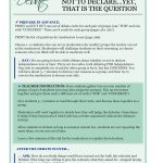 Prelude to the Declaration of Independence: TEACHER MANUAL (PDF VERSION)