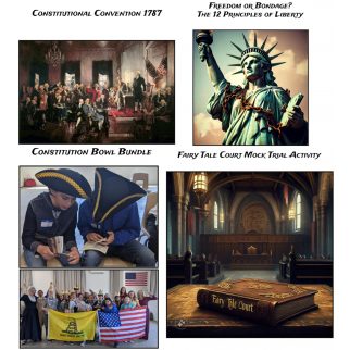 American Constitution Studies Activities