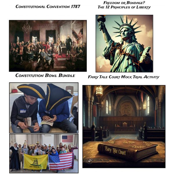 American Constitution Studies Activities